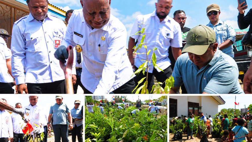 Dinas Kehutanan Papua Barat Bagikan 2.000 Bibit Pohon Gratis, Dorong Gerakan Menanam dari Pekarangan Rumah