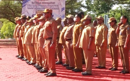Gubernur Papua Barat Instruksikan OPD Setop Rekrut Honorer Baru