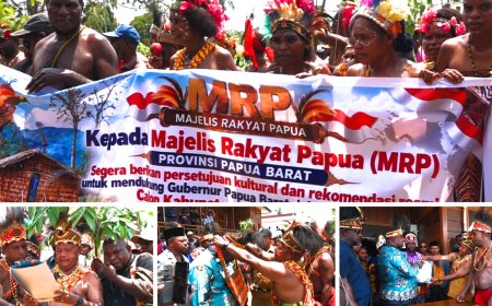DOB Pegunungan Meyah Didorong Segera Terwujud, Aspirasi Disampaikan ke MRP Papua Barat