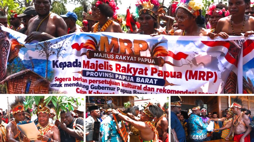 DOB Pegunungan Meyah Didorong Segera Terwujud, Aspirasi Disampaikan ke MRP Papua Barat