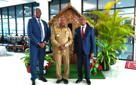 Gubernur Papua Barat Sambut Baik Kunjungan Dubes Afsel, Jajaki Kerja Sama Pariwisata hingga Komoditas Lokal